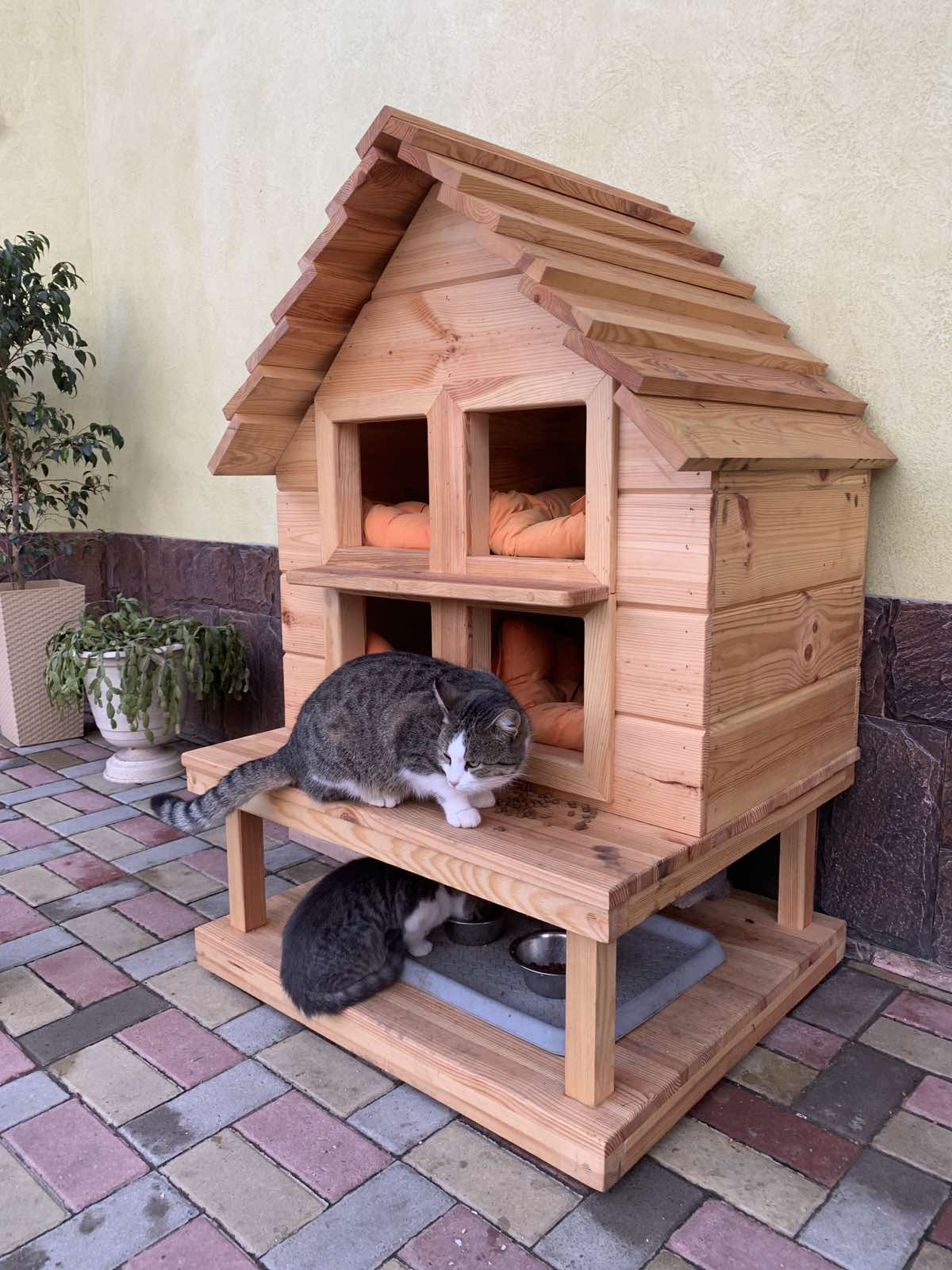 Домик для кошек на заказ в Кишиневе